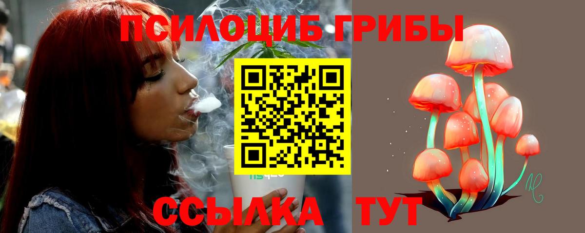 Галлюциногенные грибы Cubensis Славгород
